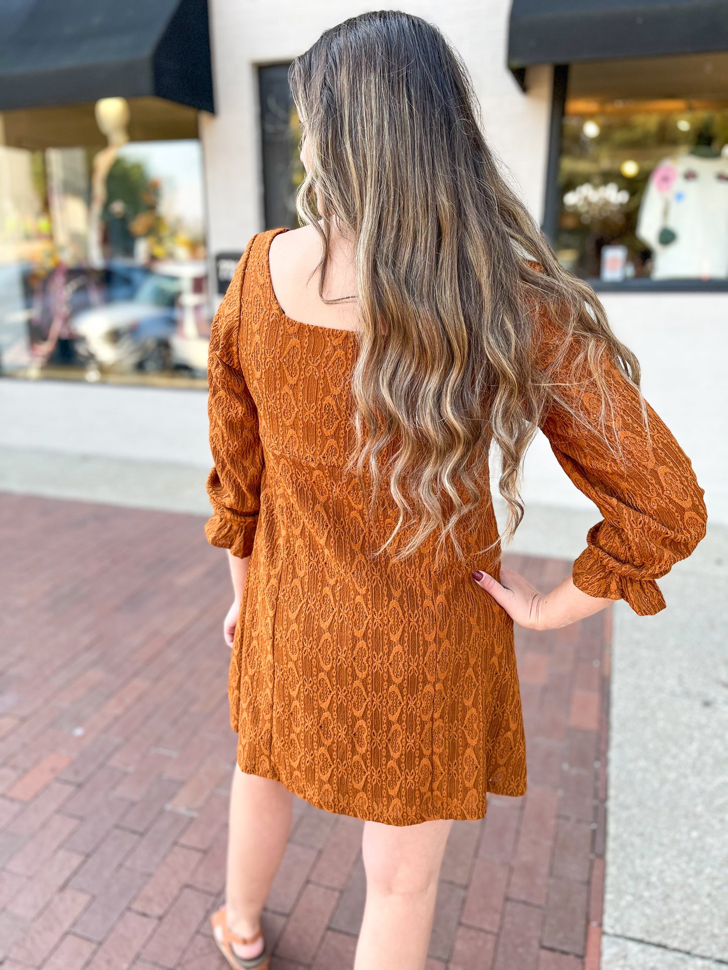 Chestnut Lace Shift Mini Dress