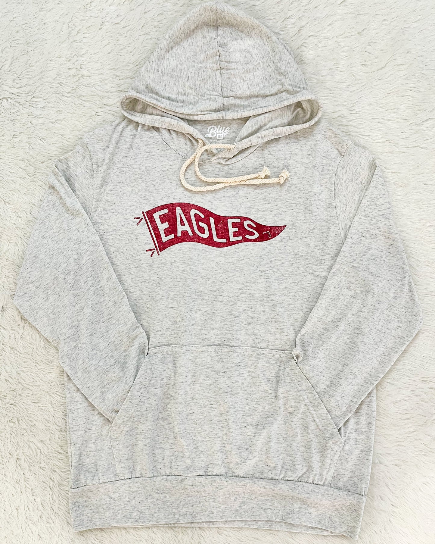 Pella Christian Eagles Vintage Pennant Long Sleeve Hoodie