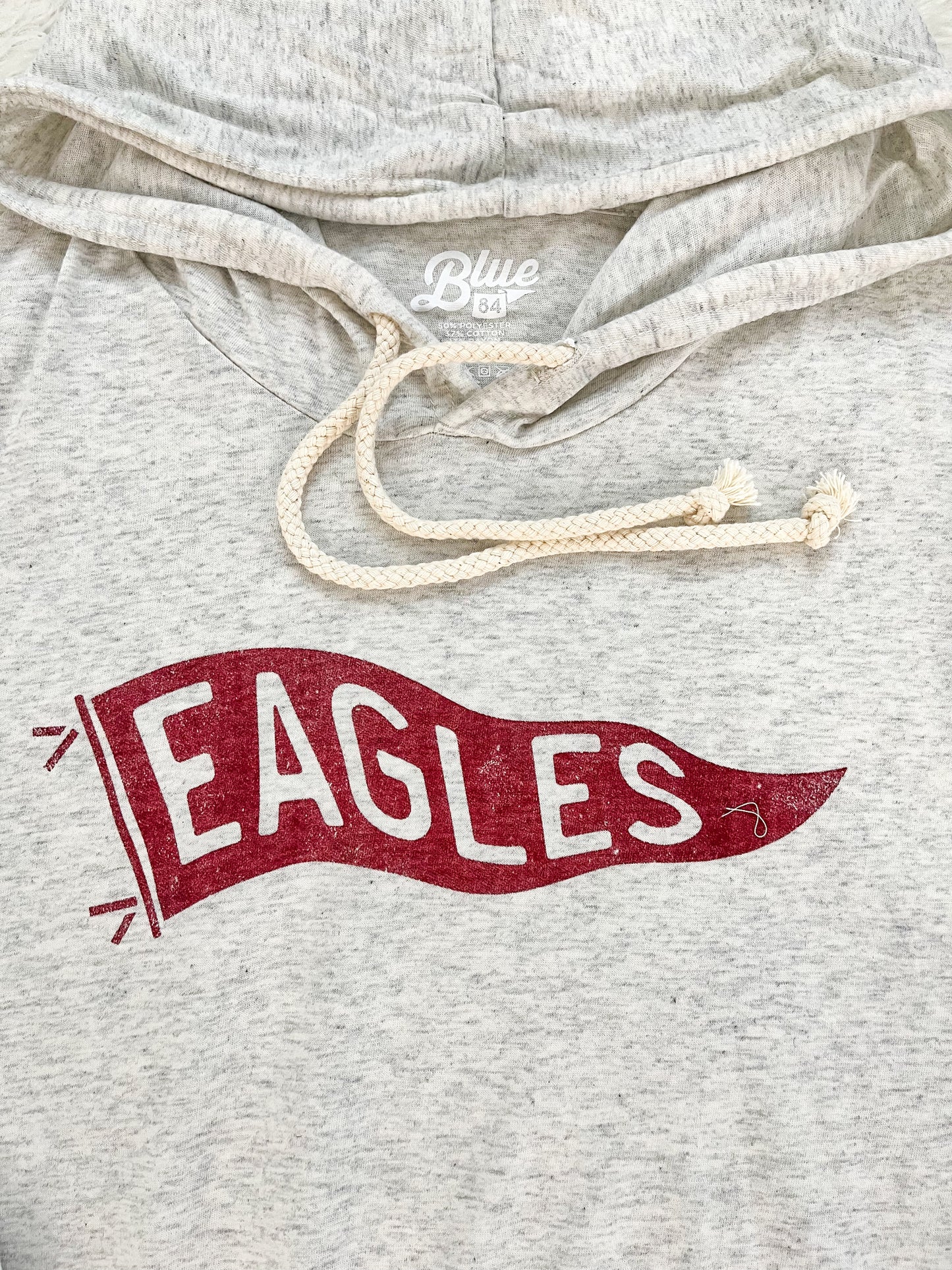 Pella Christian Eagles Vintage Pennant Long Sleeve Hoodie