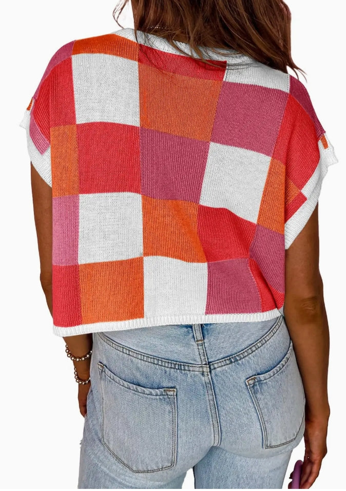 Color Blocked Sweater Vest