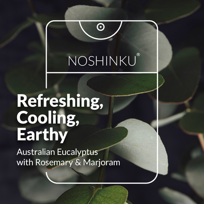Eucalyptus Moisturizing Pocket Hand Sanitizer