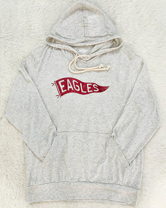 Pella Christian Eagles Vintage Pennant Long Sleeve Hoodie