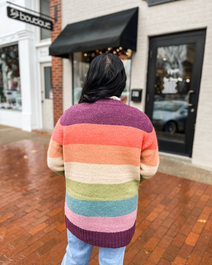 Plum & Bright Colored Striped Cardigan
