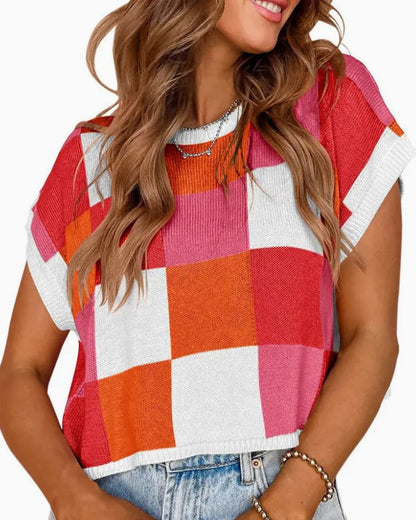Color Blocked Sweater Vest
