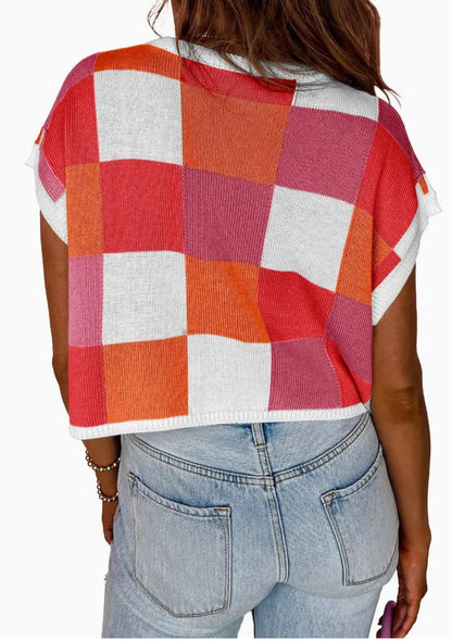 Color Blocked Sweater Vest