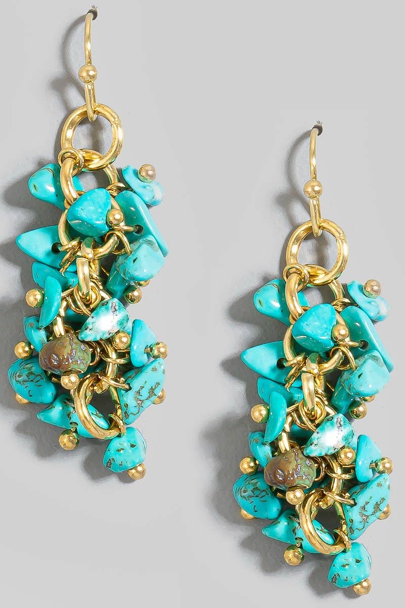 Pebble Stone Beaded Fringe Dangle Earrings