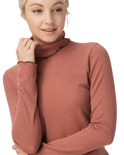 Solid Color Turtle Neck
